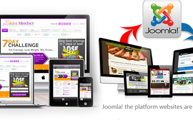 I will make and redesign joomla ecommerce websites