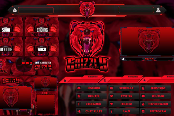 I will make you a professionel streaming package in 24h