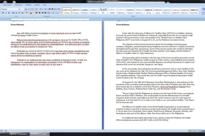 I will professionally translate english to filipino