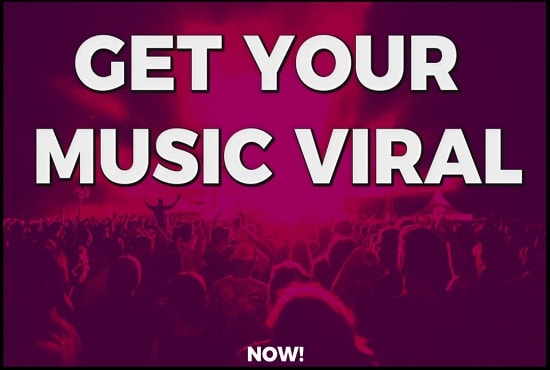I will provide music promotion with press release