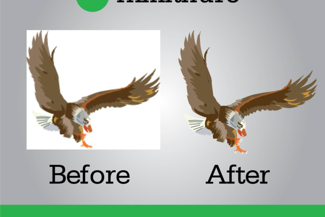 I will vector trace anything within 2 hours your ads manager