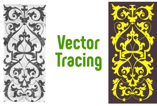 I will vectorise, vector tracing, hand trace, raster logo image, graphic to vector