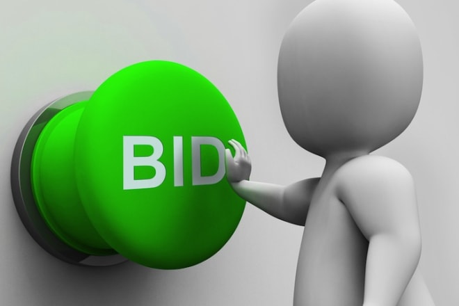 I will write tender or bid responses for projects