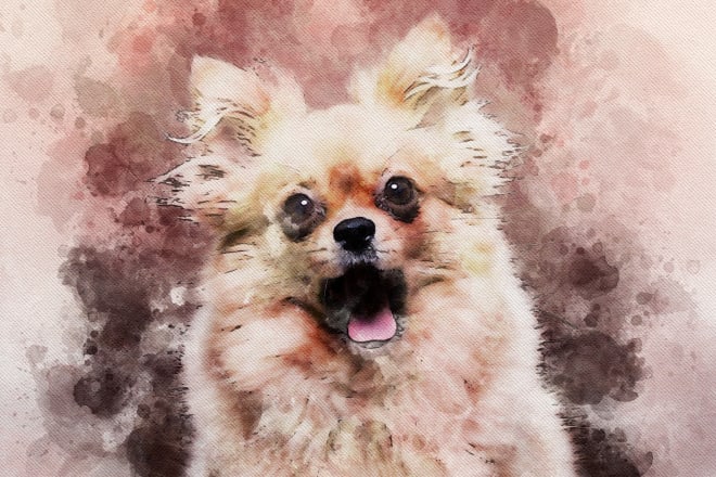 I will add some cool watercolor effect to your portrait