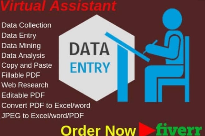 I will be your virtual assistant and data entry worker