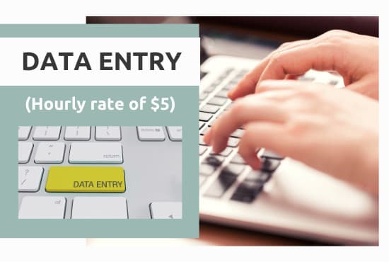 I will be your virtual assistant for data entry and admin work