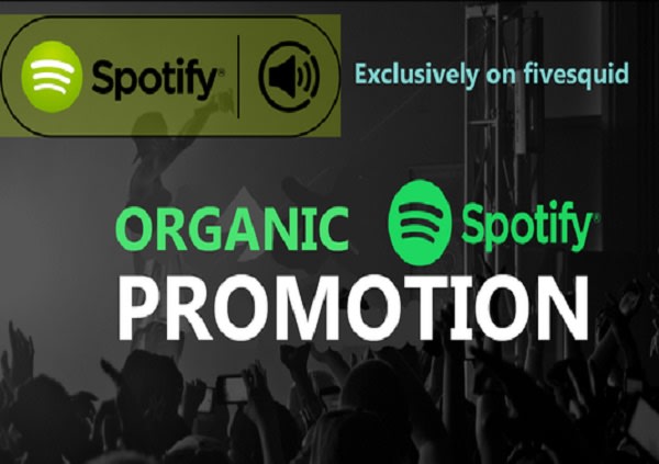 I will boost album, ep spotify promotion for spotify album, ep