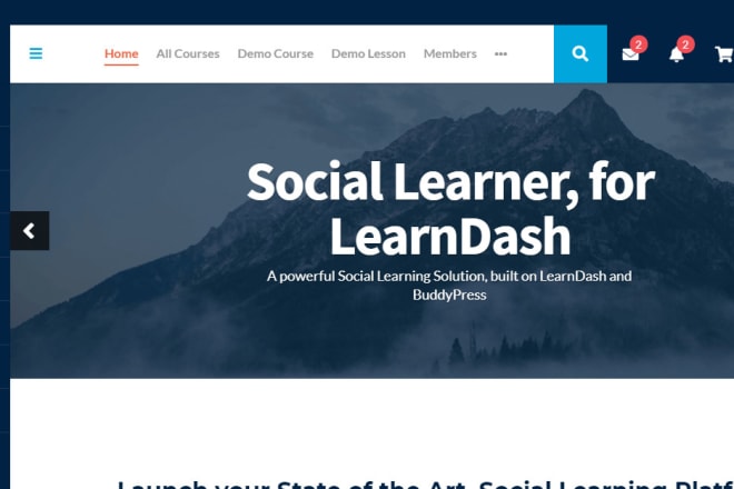 I will build a wordpress lms website with learndash