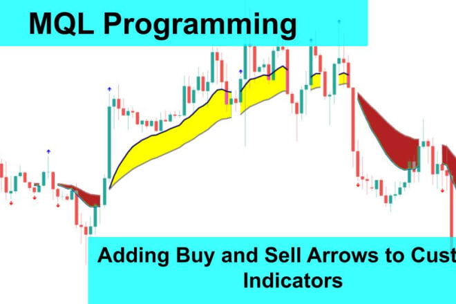 I will built mt4,mt5 coding service,indicator,forex robot ea