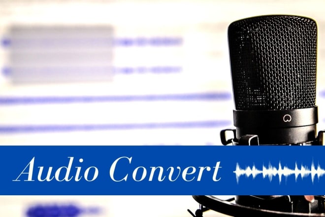 I will convert audio file to mp3, ogg, wav, flac