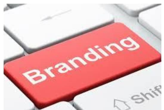 I will create a catchy company or brand name, taglines or slogans, and logo