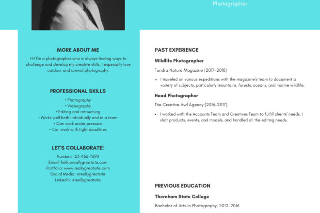 I will create a interesting CV for you