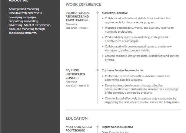 I will create a professional resumé, writing services for you