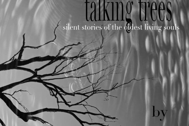 I will create an original magazine or book cover
