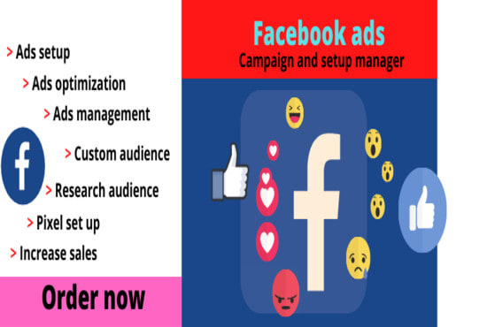 I will create and manage your facebook ads campaign