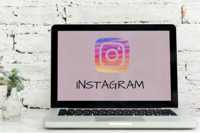 I will create and manage your instagram account
