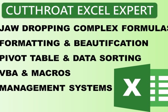 I will create excel dashboard, pivot table, macros and much more