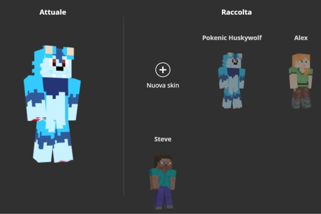 I will create your personal minecraft skin