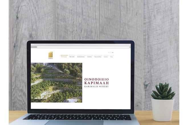 I will design beautiful and effective websites with web builders