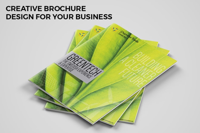 I will design creative brochure, poster and website banner designs