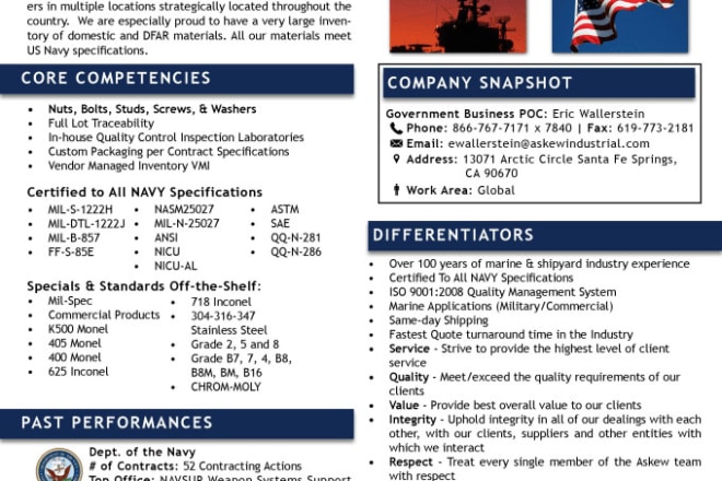 I will design your professional capability statement