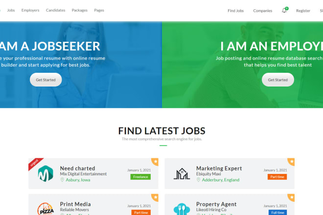 I will develop job posting or job board wordpress website