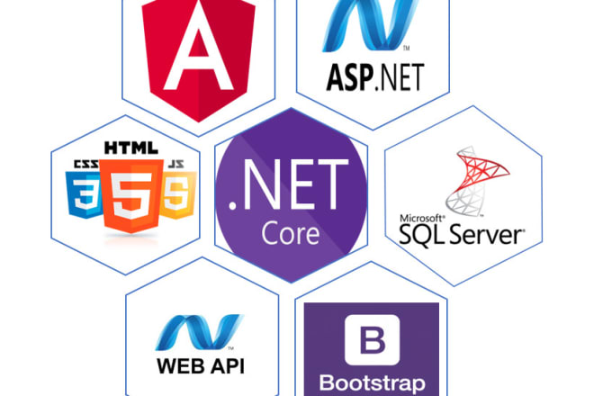 I will develop your web app using asp dot net mvc or web api and angular