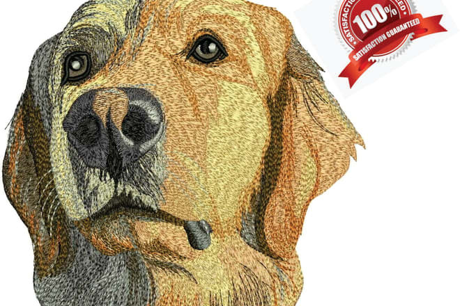 I will digitize good embroidery design for you in wilcom