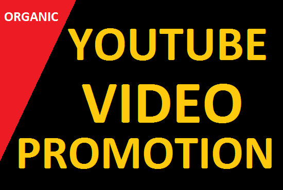 I will do best youtube music video promotion