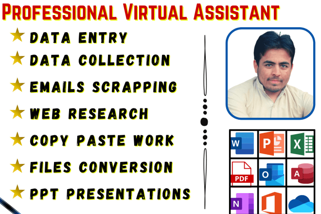 I will do data entry, data collection, web research, word, ppt, excel, email, pdf work