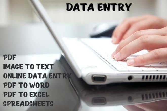 I will do data entry job within 24 hours