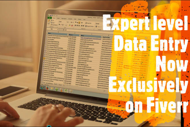 I will do expert level excel data entry, copy paste, data cleansing