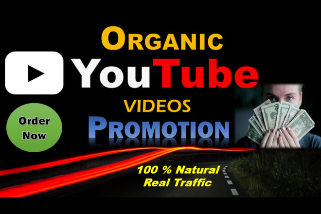 I will do fast and viral organic youtube video promotion