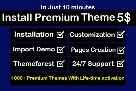 I will do install premium wordpress theme setup and customization