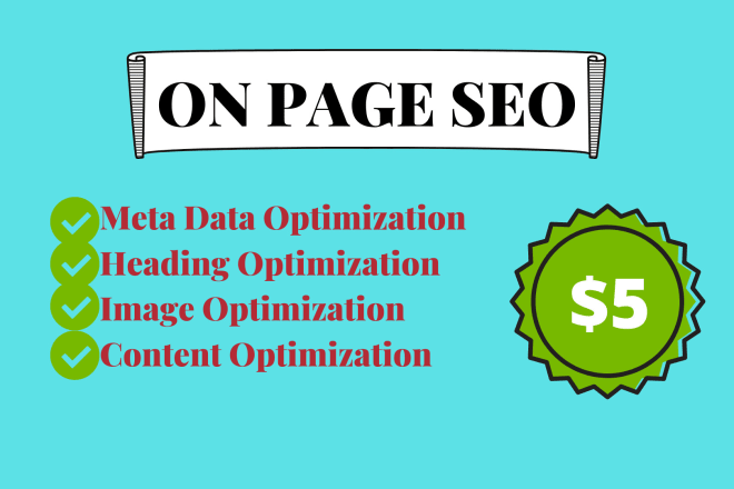 I will do on page seo optimization