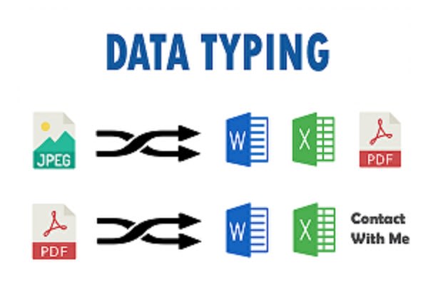 I will do professional typing, file conversion, data entry, online research