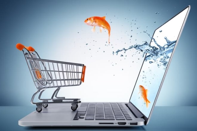I will do shopping cart website
