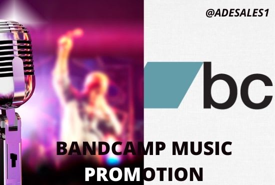 I will do viral crazy bandcamp, beatstars, spotify, music promotion