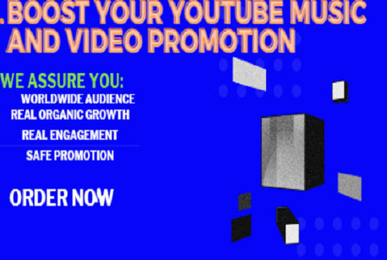 I will do youtube video promotion