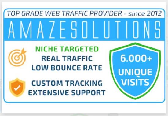 I will drive targeted visitors, website traffic