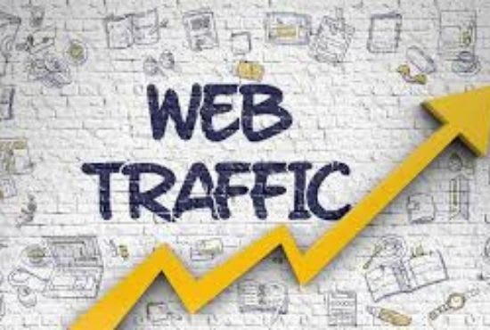 I will drive website traffic organic visitors SEO friendly