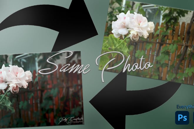 I will edit your photographs professional