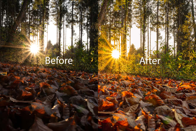 I will enhanche your images with adobe lightroom