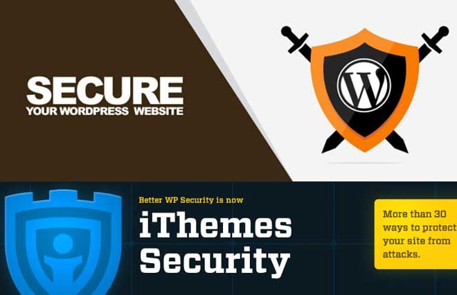 I will express security wordpress service