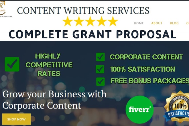 I will give expert advice and write winning rfps, grant proposals