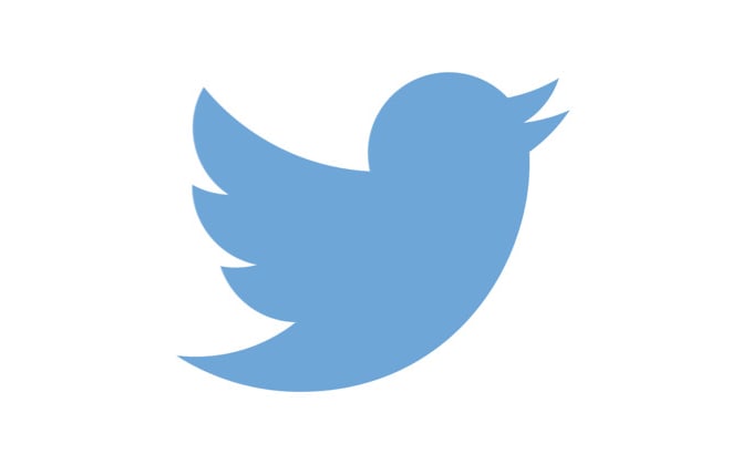I will grow your twitter account following fast