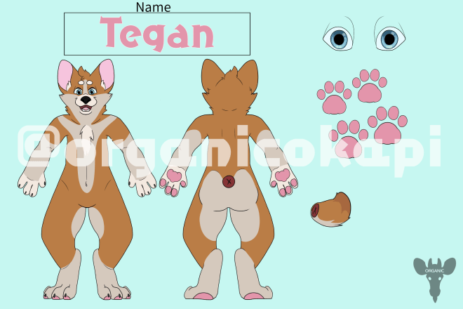 I will let you use my corgi reference sheet base