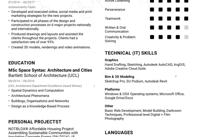 I will make a professional resume, cv, or curriculum vitae