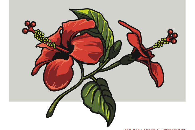 I will make digital vegetable, floral and flower illustration
