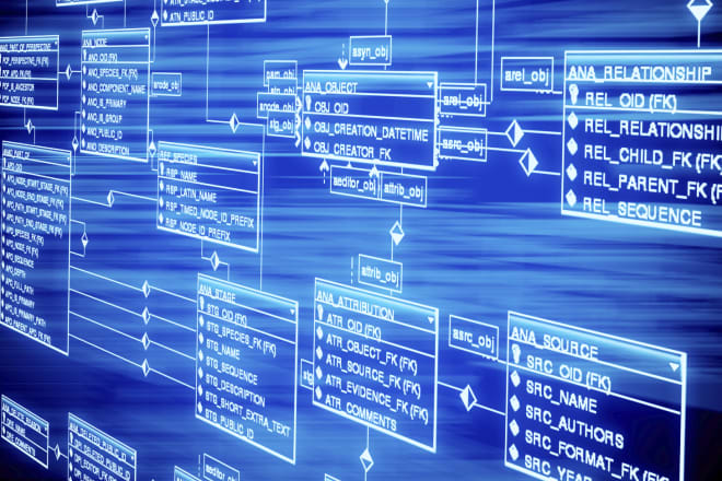 I will make er diagram and write their database queries